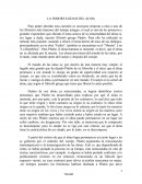 La inmortalidad del alma