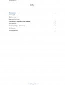 Informatica Evolución de la informática en las empresas