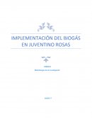 IMPLEMENTACIÓN DEL BIOGÁS EN JUVENTINO ROSAS
