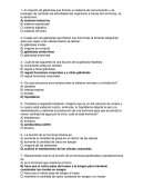 Cuestionario sistema endocrino