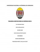 UN NUEVO RESUMEN CONSTRUYENDO UN IMPERIO MAYA