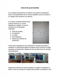 CIRCUITOS SUJETADORES. Página 1