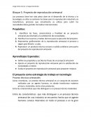 Proyecto de reproducción artesanal
