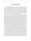 Los derechos humanos - Sintesis