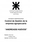 Control de Gestión de la empresa agropecuaria “ANDREASSI HUEVOS”