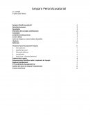 COMO ES EL AMPARO PENAL APUNTES