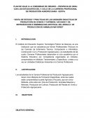 PLAN DE VIAJE A LA COMUNIDAD DE VIRUNDO – PROVINCIA DE GRAU CON LOS ESTUDIANTES DEL V CICLO DE LA CARRERA PROFESIONAL DE PRODUCCIÖN AGROPECUARIA - IESTPA