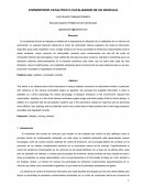 CONVERTIDOR CATALÍTICO O CATALIZADOR DE UN VEHÍCULO