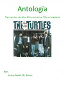 The turtules de años 60’s e inicio los 70’s en adelante