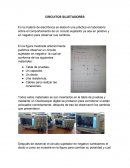 CIRCUITOS SUJETADORES