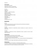 Desarrollo de el niño