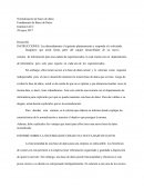 INFORME SOBRE LA NECESIDAD DE CREAR UNA NUEVA BASE DE DATOS