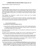 La misericordia de Dios es Grande