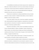 Arquitectura de interiores sustenable