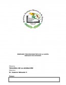 Ensayo de La Naturaleza de la Adoración