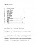 EL NUEVO CAPITALISMO ACTUAL EN EL MUNICIPIO DE SOGAMOSO