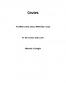 Después de leer y estudiar los recursos de la semana 2 y además investigar en otras fuentes, desarrolle el siguiente cuestionario