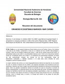 LAS GRANDES ECOSISTEMAS MARINOS: MAR CARIBE
