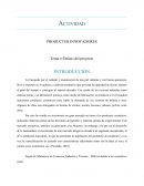 CUALES SON LOS PRODUCTOS INNOVADORES EN NUESTRO PAIS