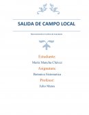 Viaje de estudios a campo mayo