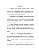 Proyecto de vino artesanal