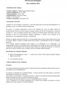 Catalina vive con sus padres, es hija única, es una niña inquieta que no reacciona adecuadamente a los problemas ya que le es difícil tolerar las frustraciones