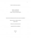 TEORIA DE LAS ORGANIZACIONES ADMINISTRACION DE EMPRESAS