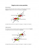 Ángulos no adyacentes situados entre las paralelas y en distintos lados de la transversal. Propiedad: Los ángulos alternos internos entre paralelas son congruentes