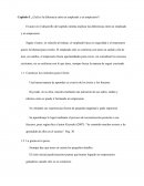 Como es Antes de renunciar a tu empleo