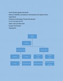 Organigrama “Propuesta Libre”