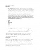 Actividad pedagogica teatral. Expresión (juego dramático)