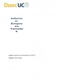 Describa en términos generales la empresa en la cual se fundamentó su Portafolio de evidencias