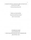 FACTORES QUE INCIDEN EN LA CARENCIA DE VALORES ANCESTRALES EN LOS JOVENES DEL RÍO CAJAMBRE