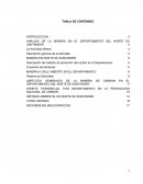 ANALISIS DE LA MINERIA EN EL DEPARTAMENTO DEL NORTE DE SANTANDER