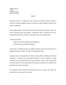 Apreciacion VII Juan Pérez Jolote