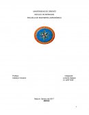 Bombas y bombeos de las caracteristicas de la red