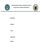¿Cuáles son los tres elementos que hacen que la educación sea una realidad?