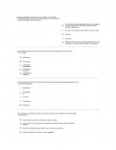 Martillero Entrega 1