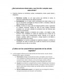 ¿Qué estructuras observaste y que función cumplen esas estructuras?
