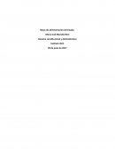 El Derecho constitucional y Administrativo