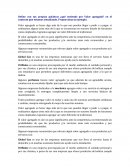 Define con tus propias palabras ¿qué entiende por Valor agregado?