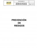 Sistema de Gestion de Prevencion de Riesgos