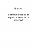 “La importancia de las organizaciones en la sociedad”