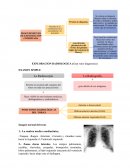 EXPLORACION RADIOLOGICA (Gran valor diagnostico)