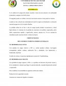 HEMORRAGIA. FISIOPATOLOGÍA