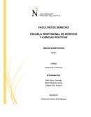 TEMA DE INVESTIGACIÓN- SUNAT