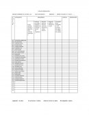 Ficha de observación SRC