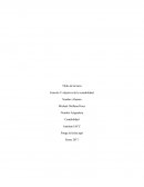 Control semana 1 contabilidad alumno michael orellana perez