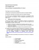 La Elaboración de texto/artículo publicable de acuerdo a las pautas indicadas