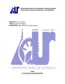 LOS GRANDES CICLOS BIOGEOQUÍMICOS